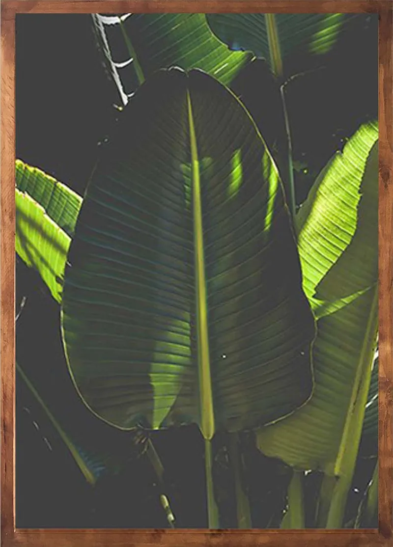 Winter botanical set - Image 3