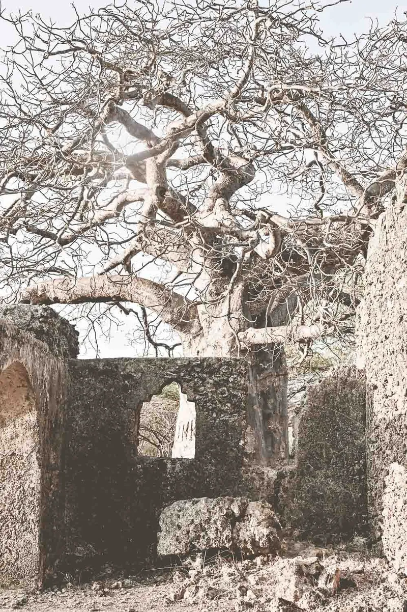 Collective - Image 2