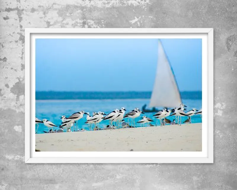 Sailing by - Image 1