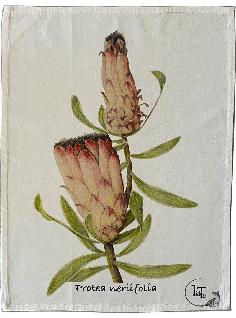 Tea Towels - Protea Neriifolia - Image 2