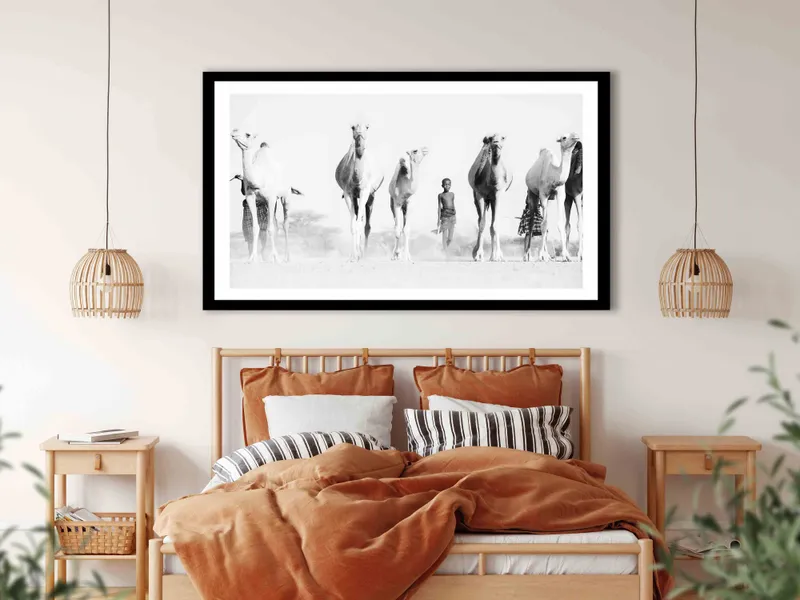 Turkana Camels - Image 8