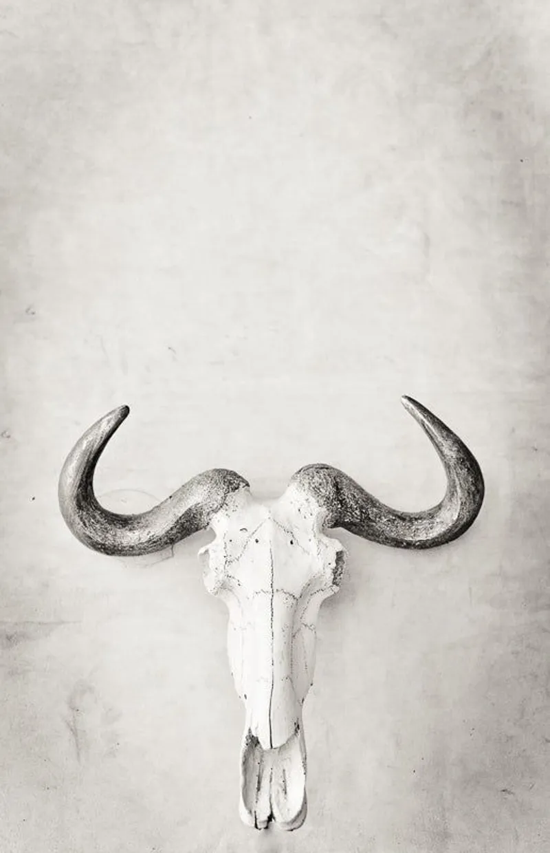 Wildebeest elegance - Image 2