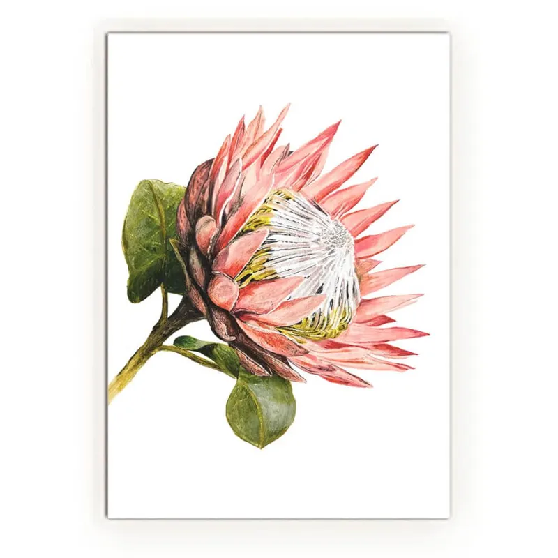 King Protea Mothers Day A6 Gift Card - Image 4
