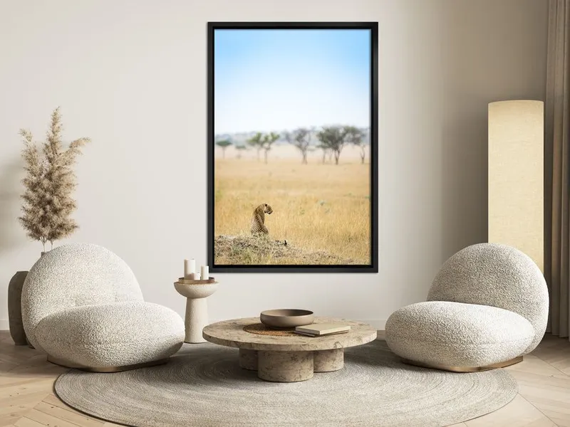 Serenity - Image 7