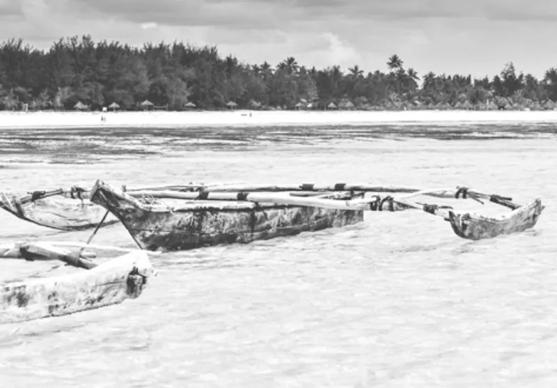 Palm fringe landscape - Image 2