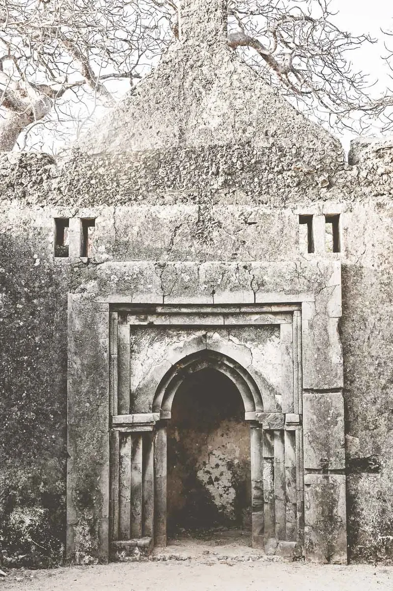 Baobab Prayers - Image 2