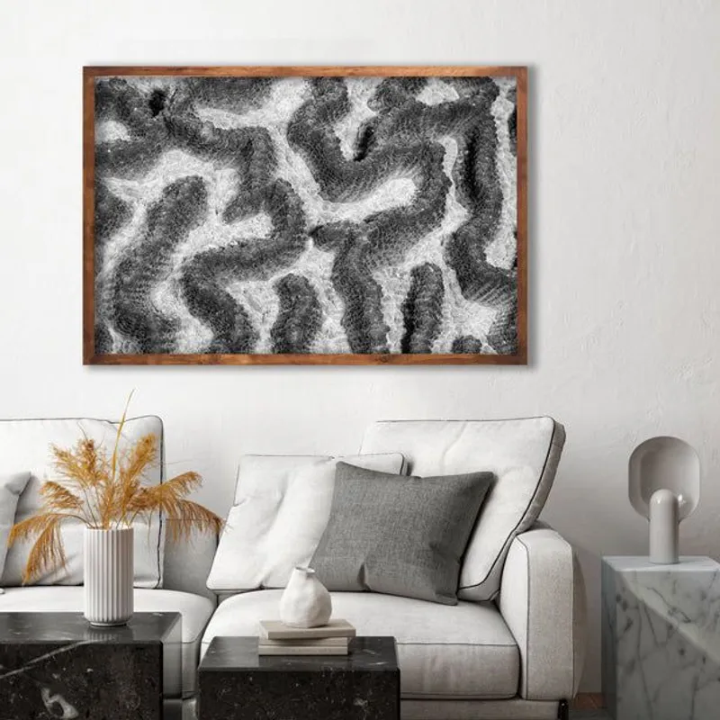 African Coral Symphony - Image 1