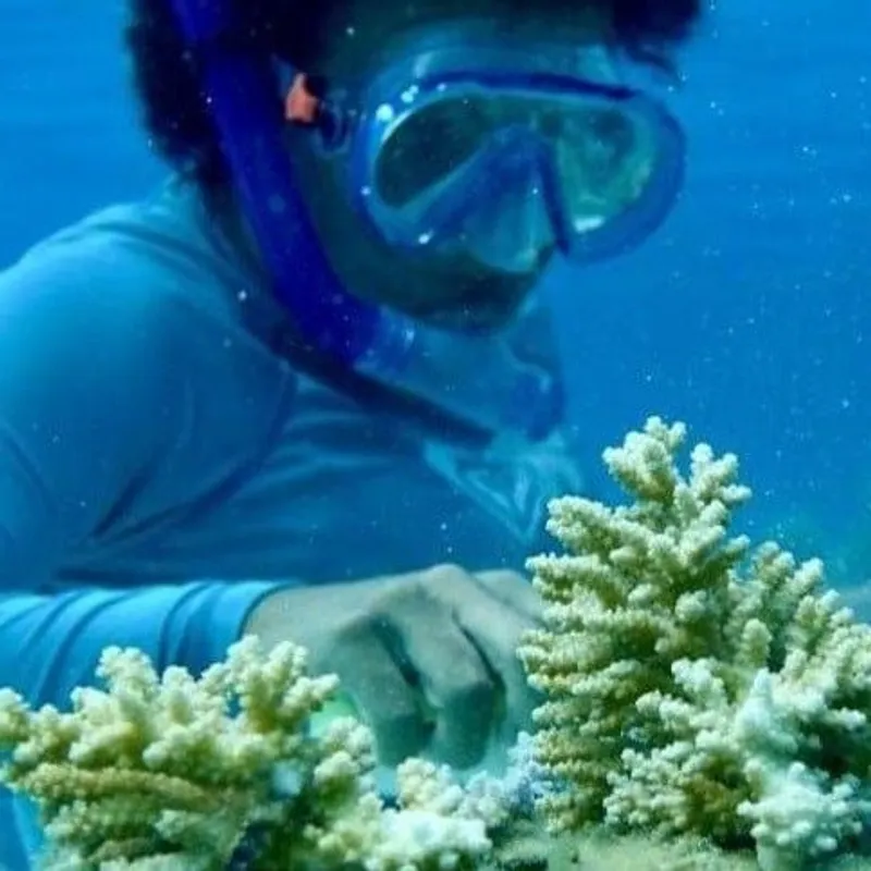 Vatuvara Foundation Aquamarine Beaded Bracelet With Turtle Pendant - Image 8