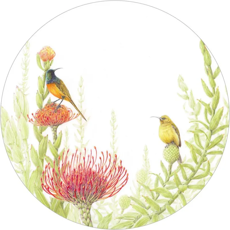 Paper Placemats - Spring Fireworks - Image 1