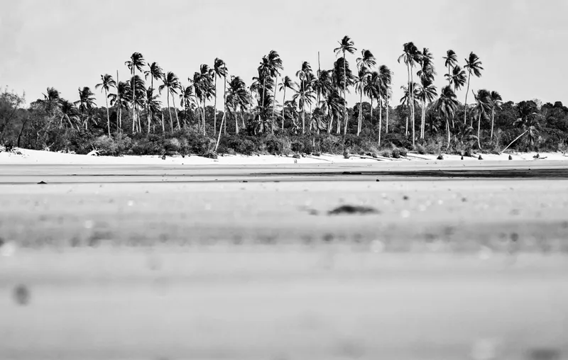 Silver linings - Image 2