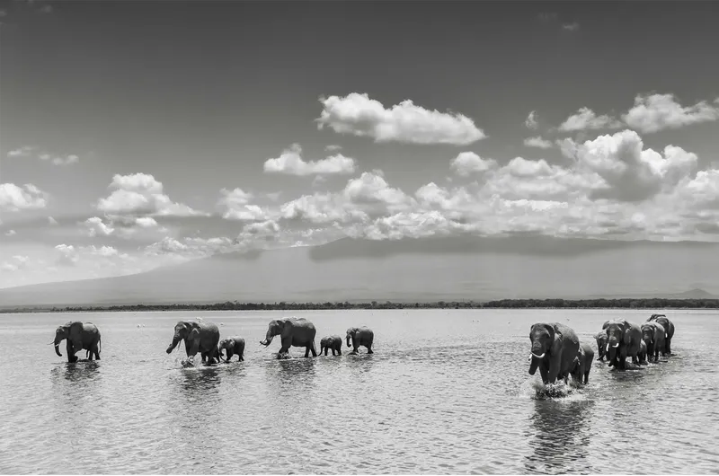 Picturesque - Image 2