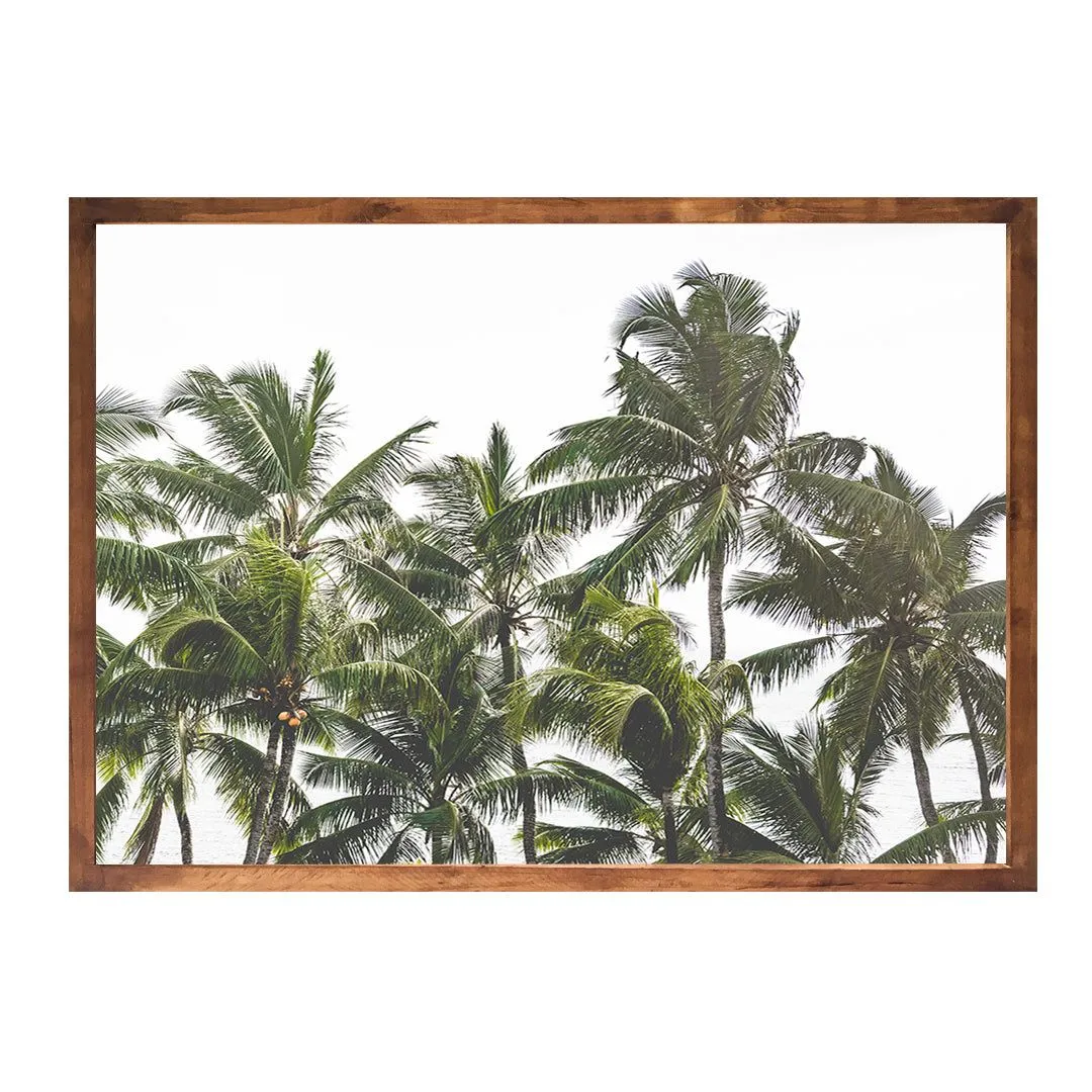 Coco de Mer