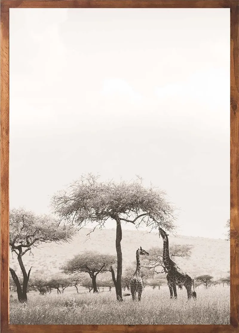 Into the wild set - Image 2