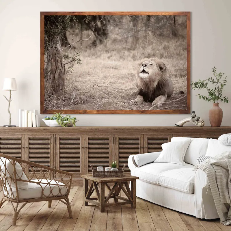 Sounds of Africa - Image 1