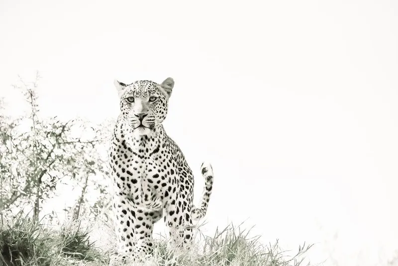 Stand Alone - Image 2