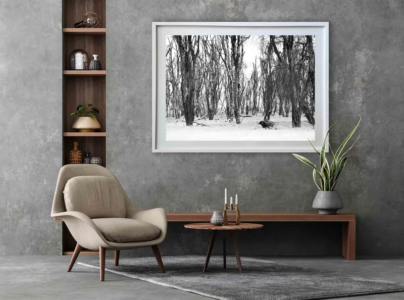 Buffalo forest - Image 7