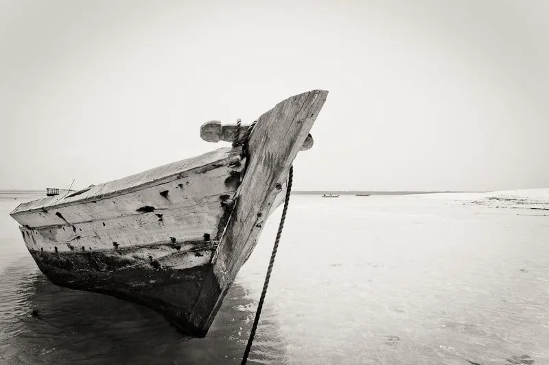 The dhow - Image 2