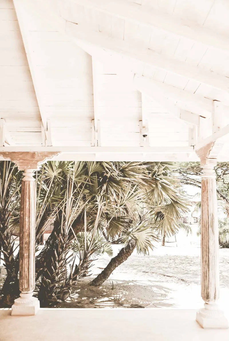 Palms and shadows - Image 2