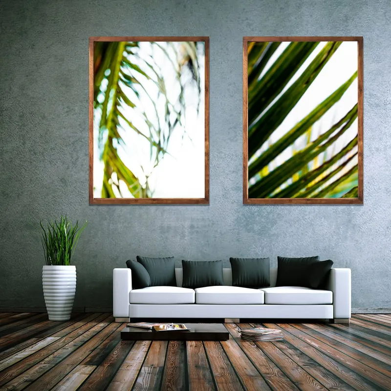 Shade - Image 1
