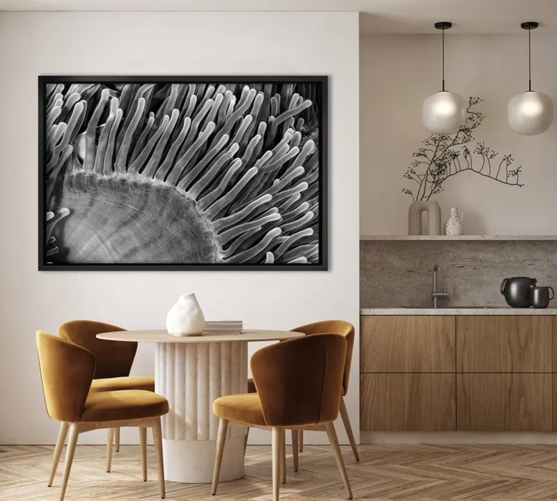 Water Plant - Image 8