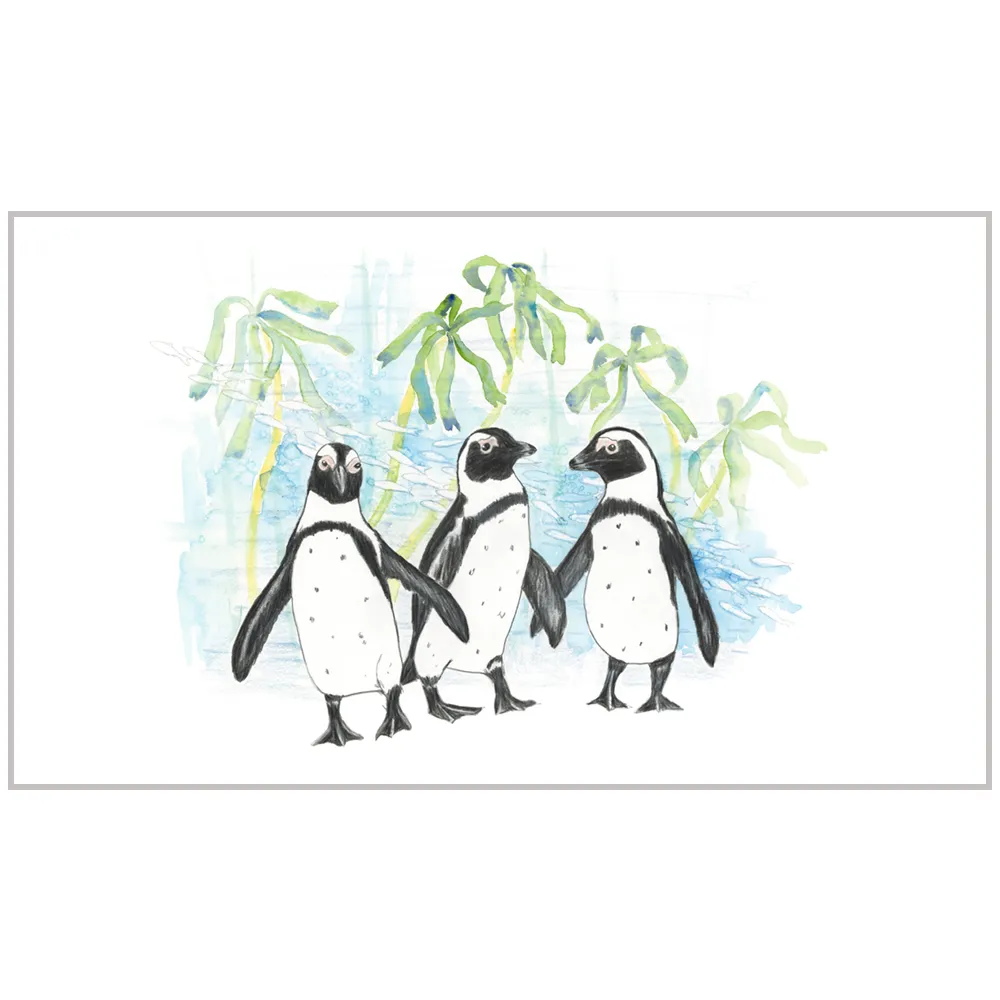 African penguins