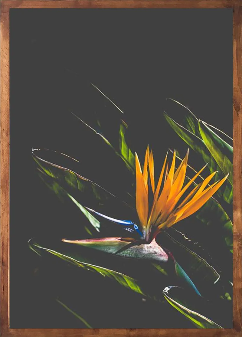 Winter botanical set - Image 2