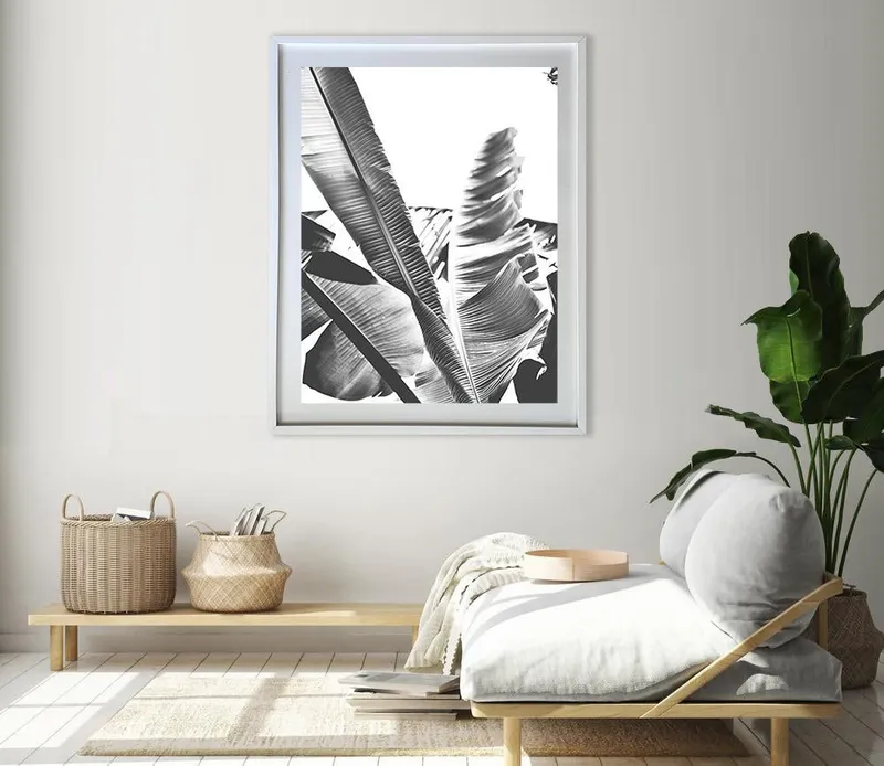 B/w Banana leaf 1 - Image 8