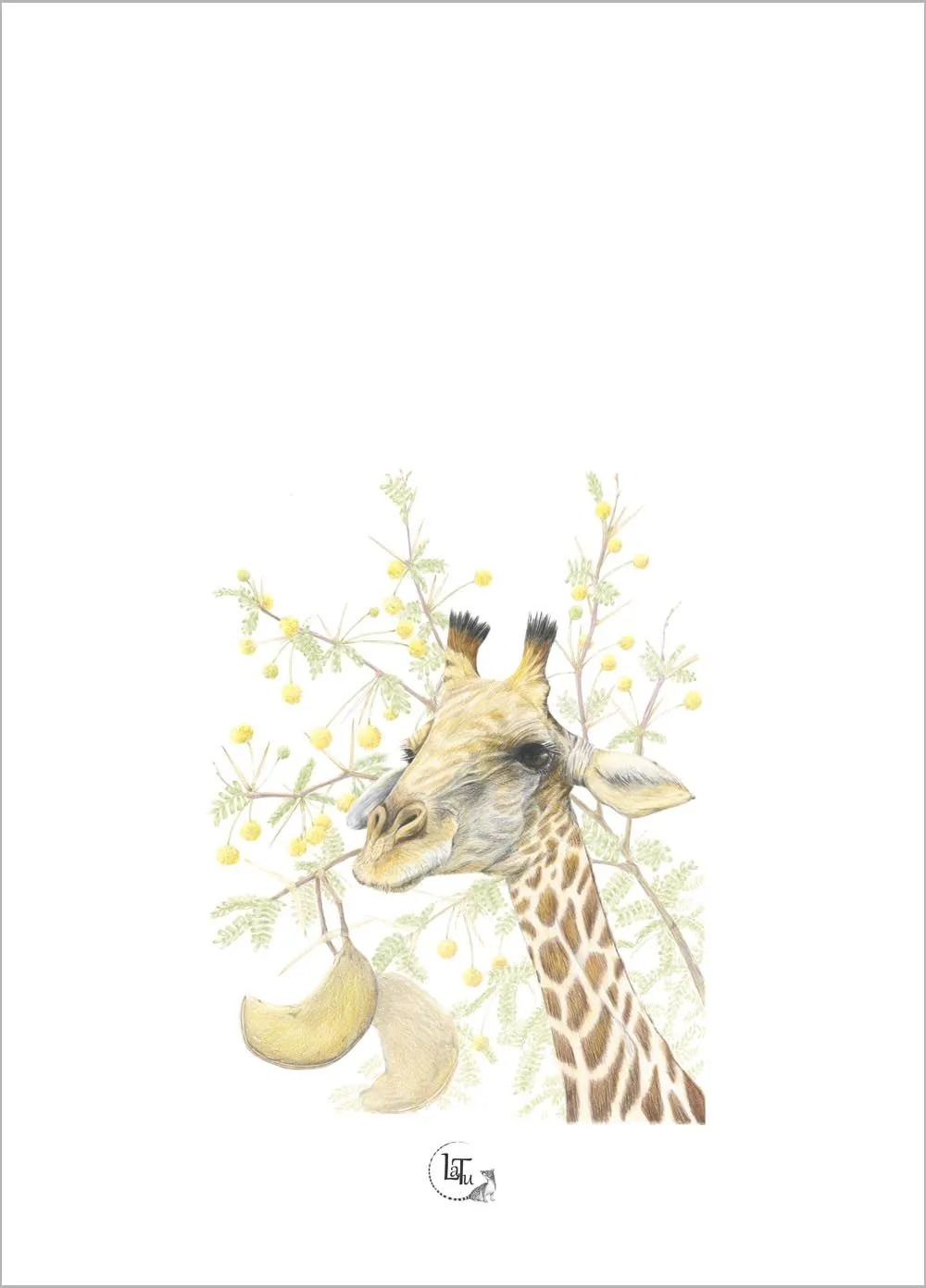 Tea Towels - Giraffe