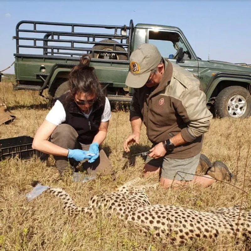 Wild Tomorrow - Africa Charity Bracelet - Image 8