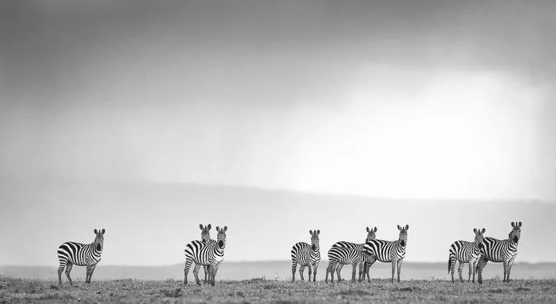 Stormy skies - Image 2