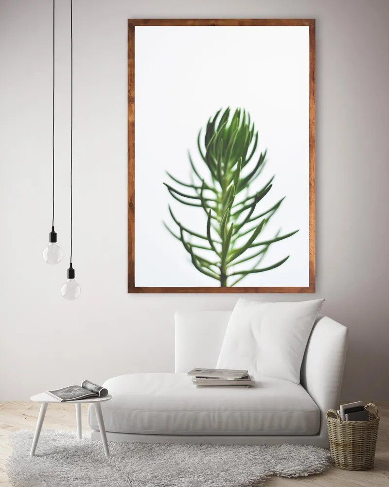 Transparency - Image 1