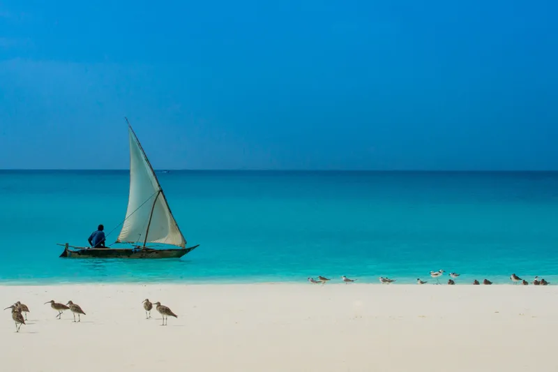 Daily commute (colour) - Image 2