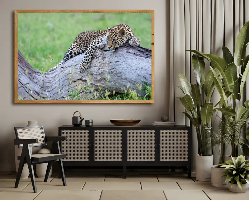 Green Season - Image 2