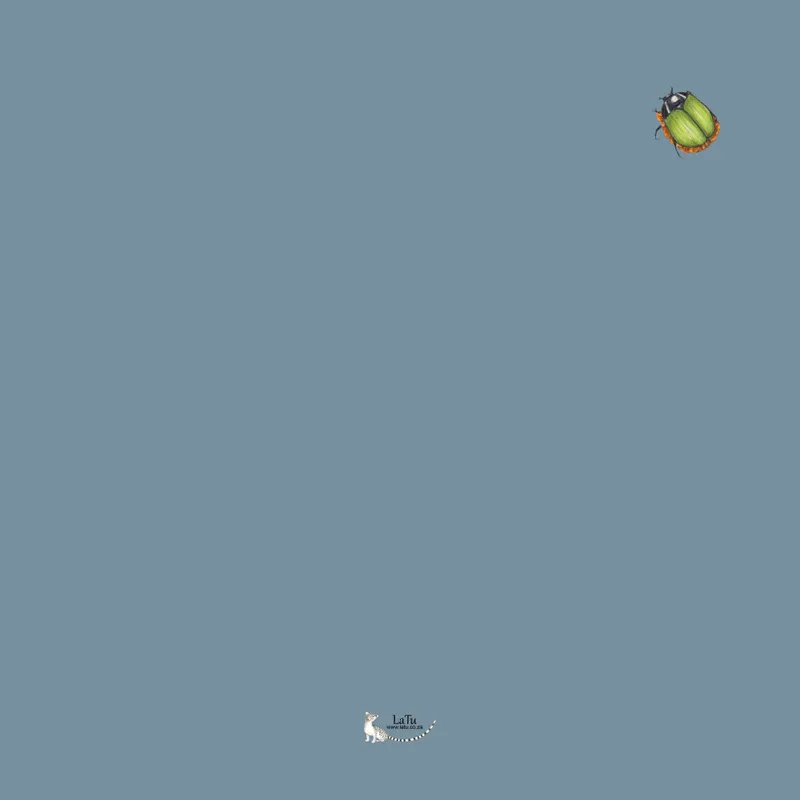 Velvet Scatter Cushion (50x50cm) - King Protea - Image 2