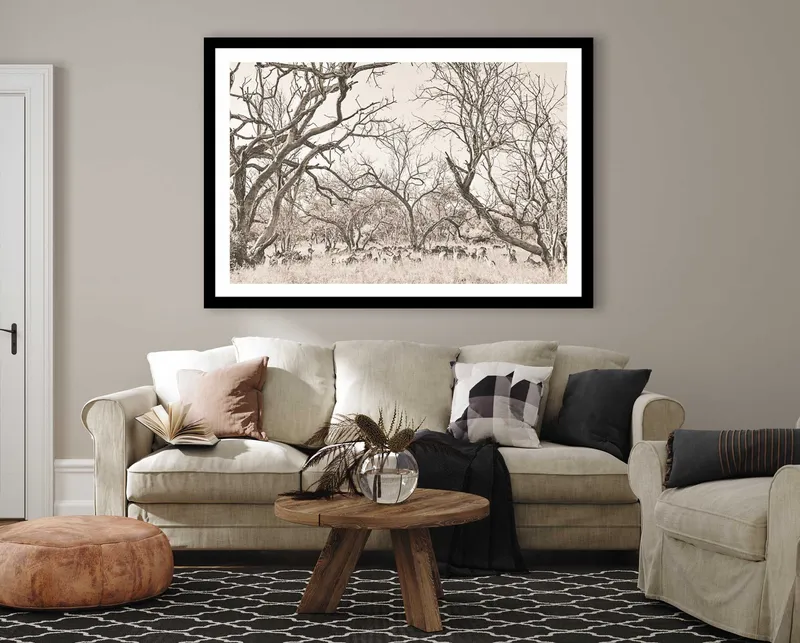 Impala forest - Image 8