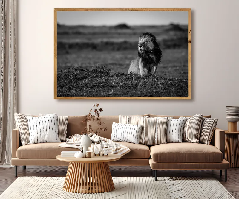 The Mara - Image 2