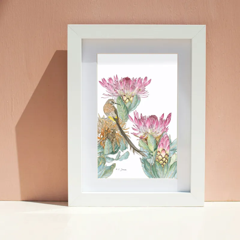 Fine Art print ~ A2 - Image 2