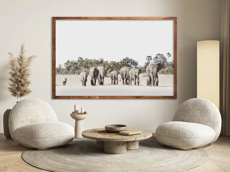 Elephant Palms - Image 1