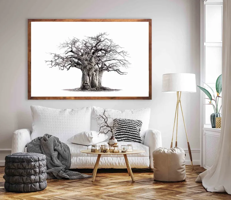 The Monkey bread tree - Image 1