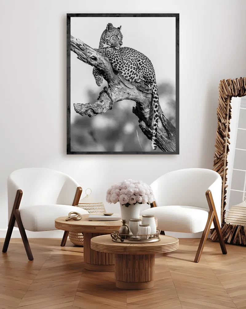 Sabi Queen - Image 1