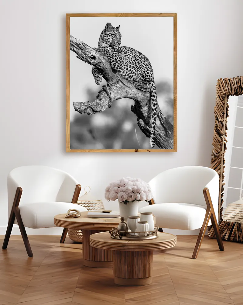 Sabi Queen - Image 2