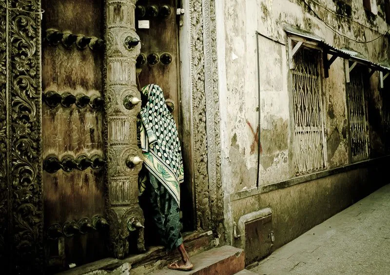 The woman and the door - Image 2