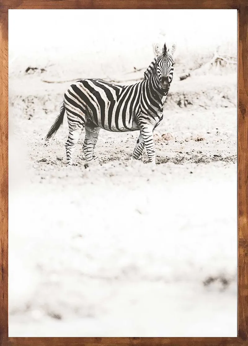 Heritage set - Image 2