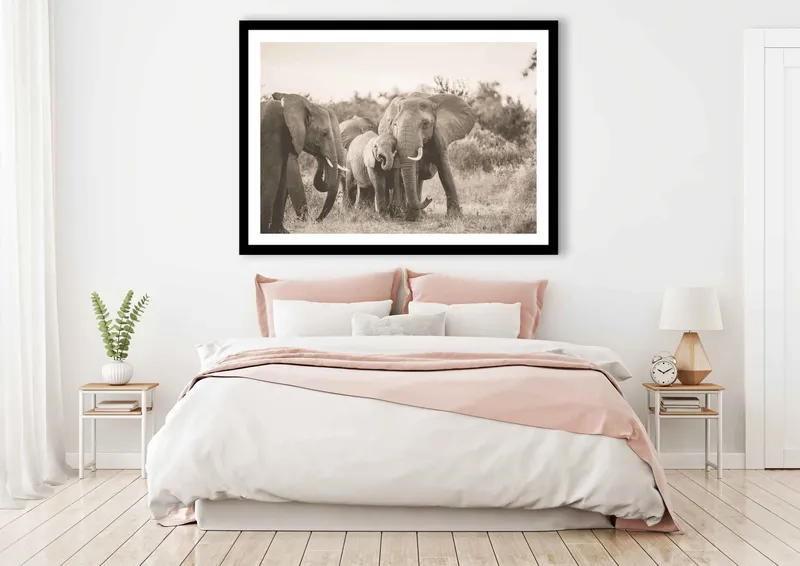 Family ties - Image 7