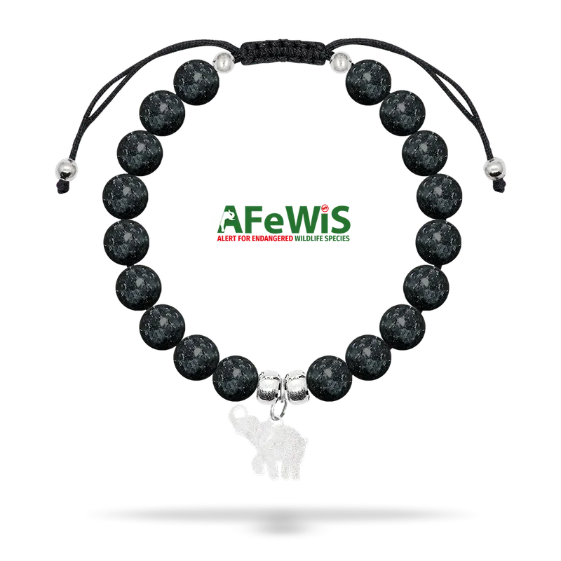 AFeWiS Spectrolite Bracelet & Elephant Charm - Image 1
