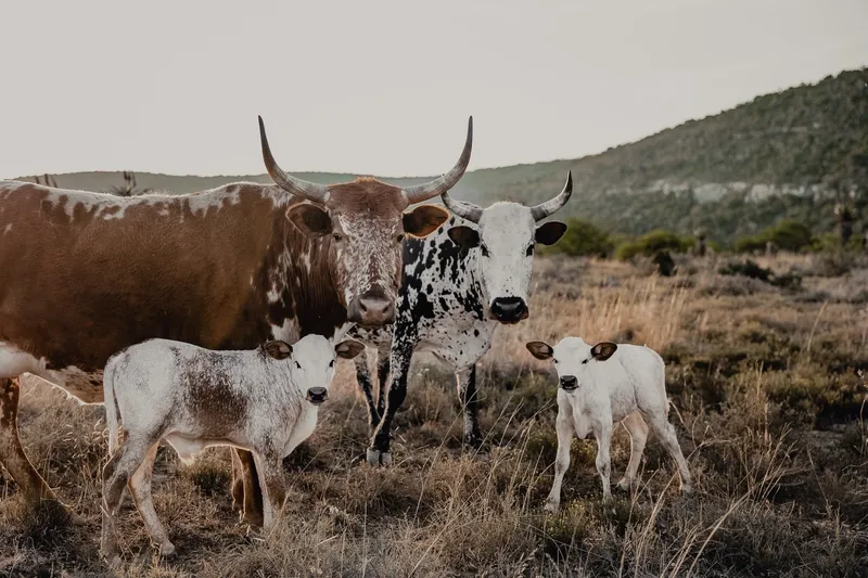 Fellowship - Image 2