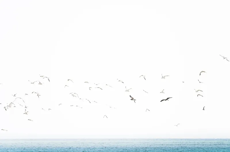 Thirds - Image 6
