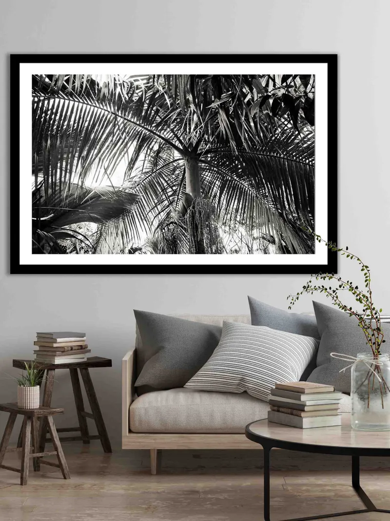 Palm trees - Image 7