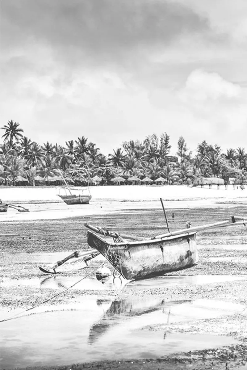 Palm fringe - Image 2