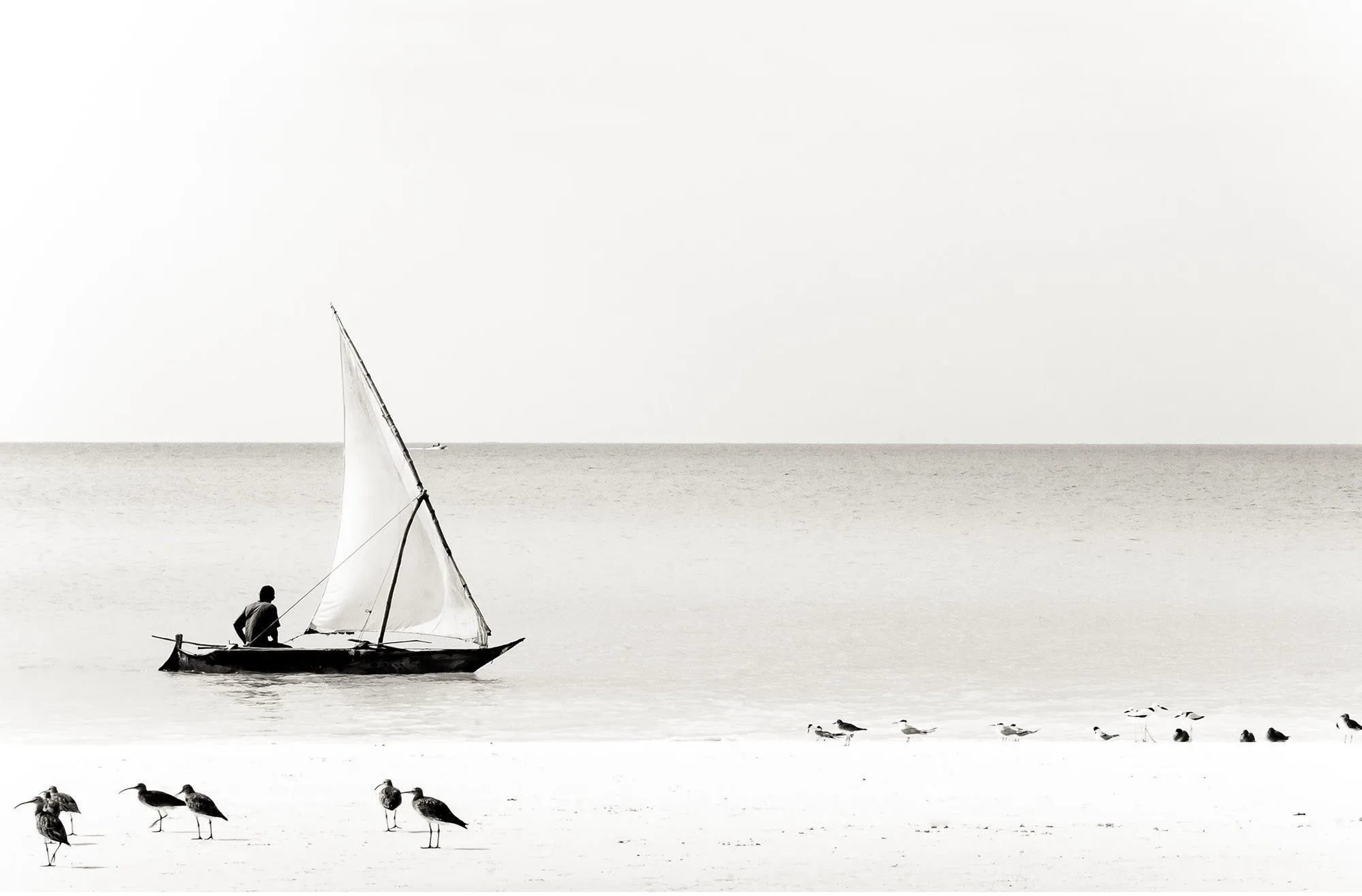 Hidden gems Canvas sale - The Fisherman 65x84cm